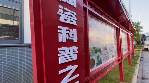 探访梧州工业发展陶瓷厂的自动机械化,新的起点经济将会更上一楼