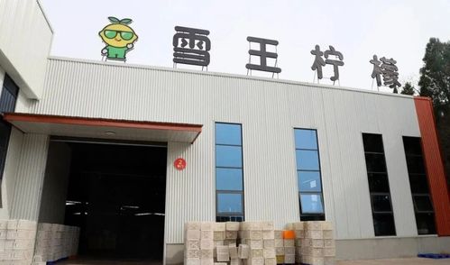 无标题